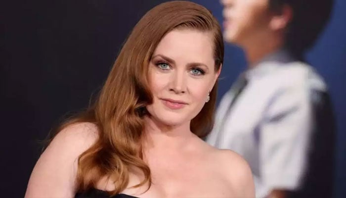 Según Amy Adams, evita la atención del público por este motivo.