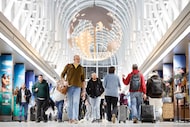Los pasajeros de American Airlines que transitaban por la mundialmente famosa Terminal 3 fueron suspendidos de...
